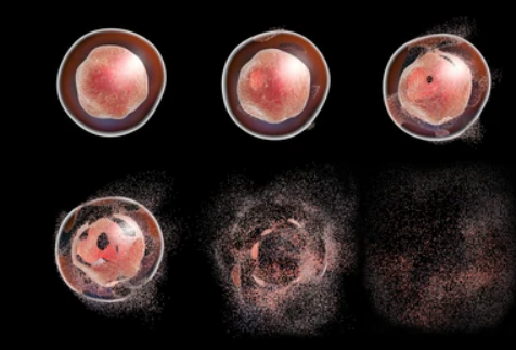 Application of Enzyme-Linked Immunosorbent Assay