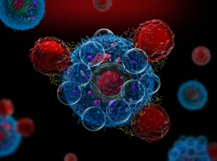 Application of Enzyme-Linked Immunosorbent Assay (ELISA) in Cytokine Research