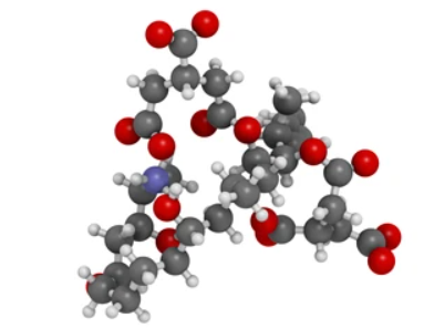 The Severity of Food Contamination Caused by Fumonisin