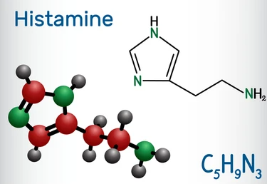 The chemical structure of Histamine