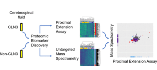 Cerebrospinal Fluid Protein Biomarker Discovery in CLN3.